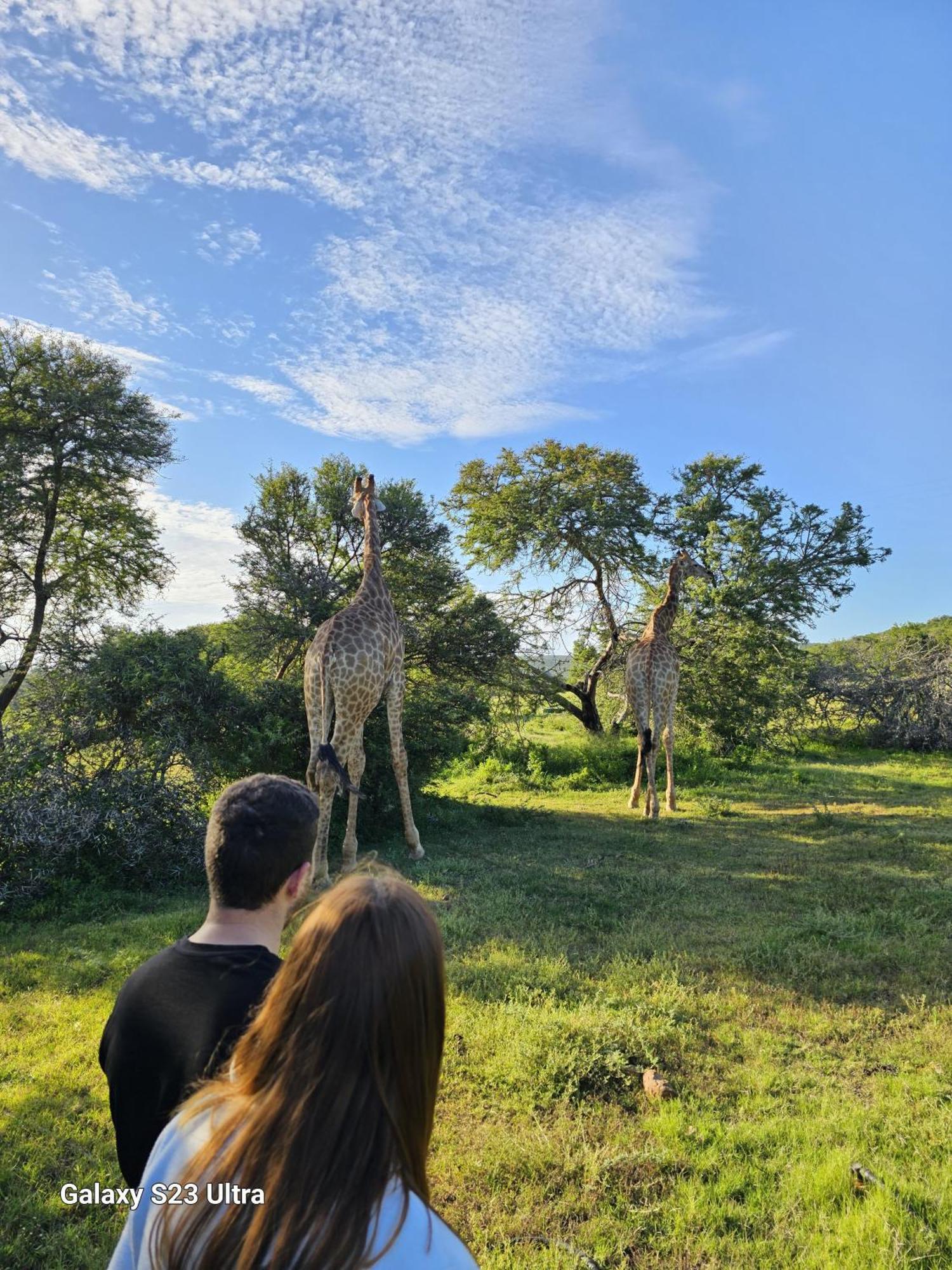 Valley Bushveld Country Lodge Addo Zewnętrze zdjęcie
