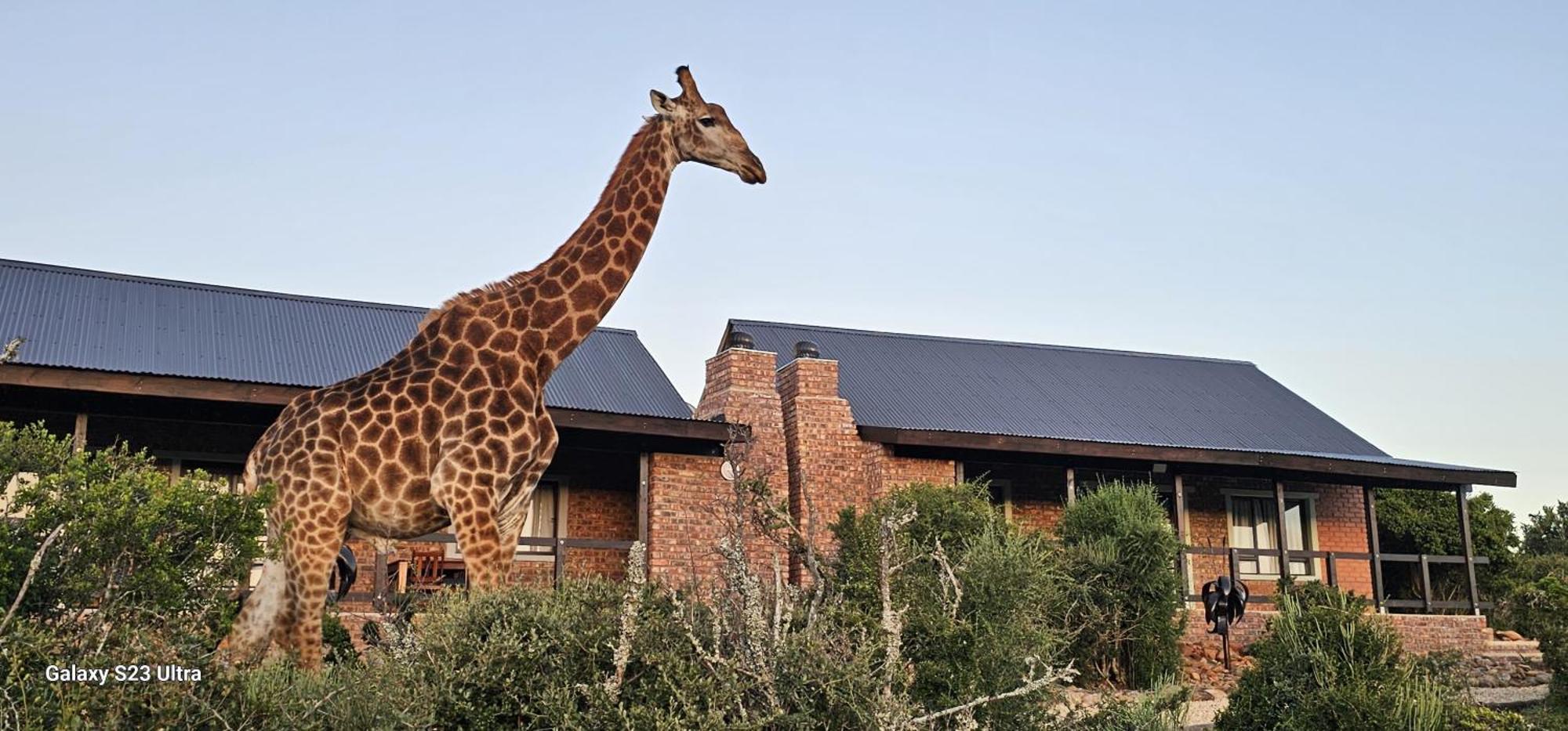 Valley Bushveld Country Lodge Addo Zewnętrze zdjęcie