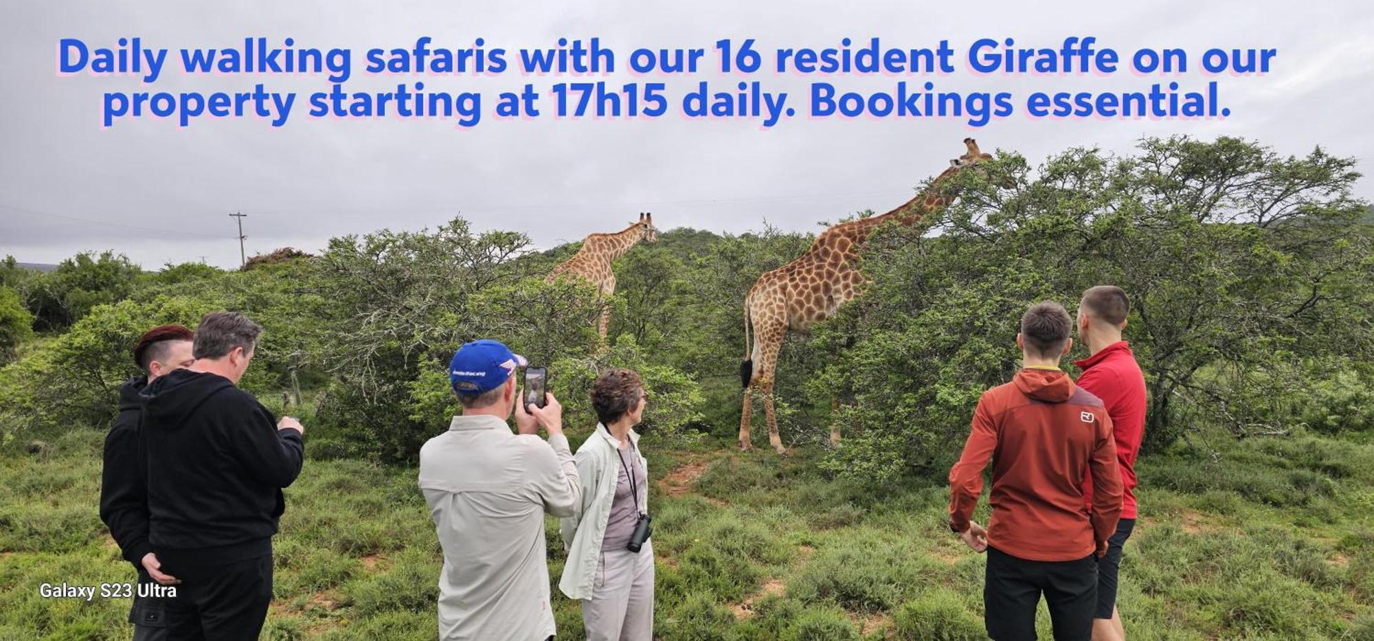 Valley Bushveld Country Lodge Addo Zewnętrze zdjęcie