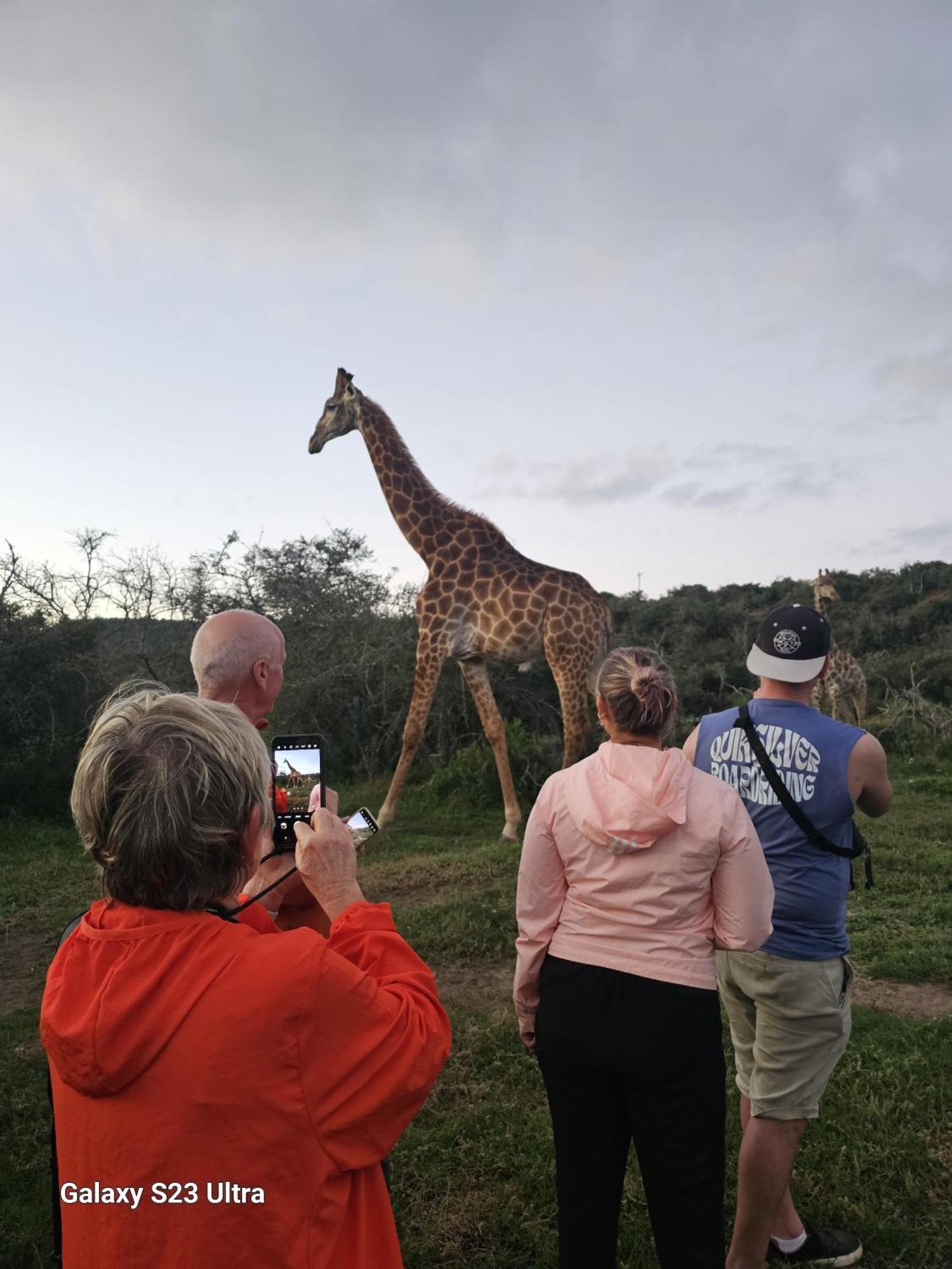 Valley Bushveld Country Lodge Addo Zewnętrze zdjęcie